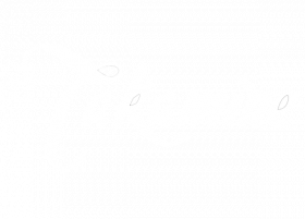 Takamine