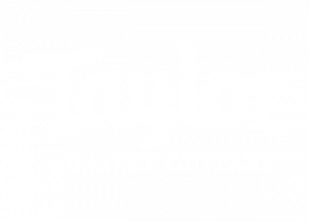 Taylor Guitars