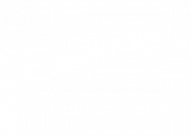 Epiphone