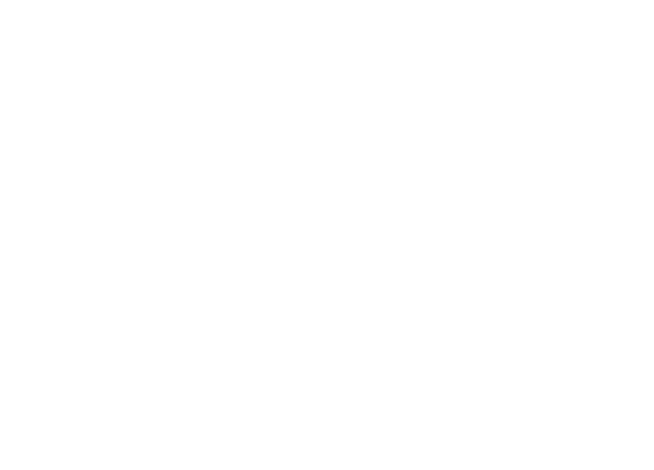 Epiphone Epiphone