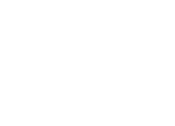 Heritage Guitars