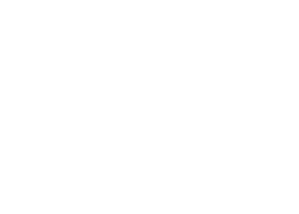 Martin authorized dealer