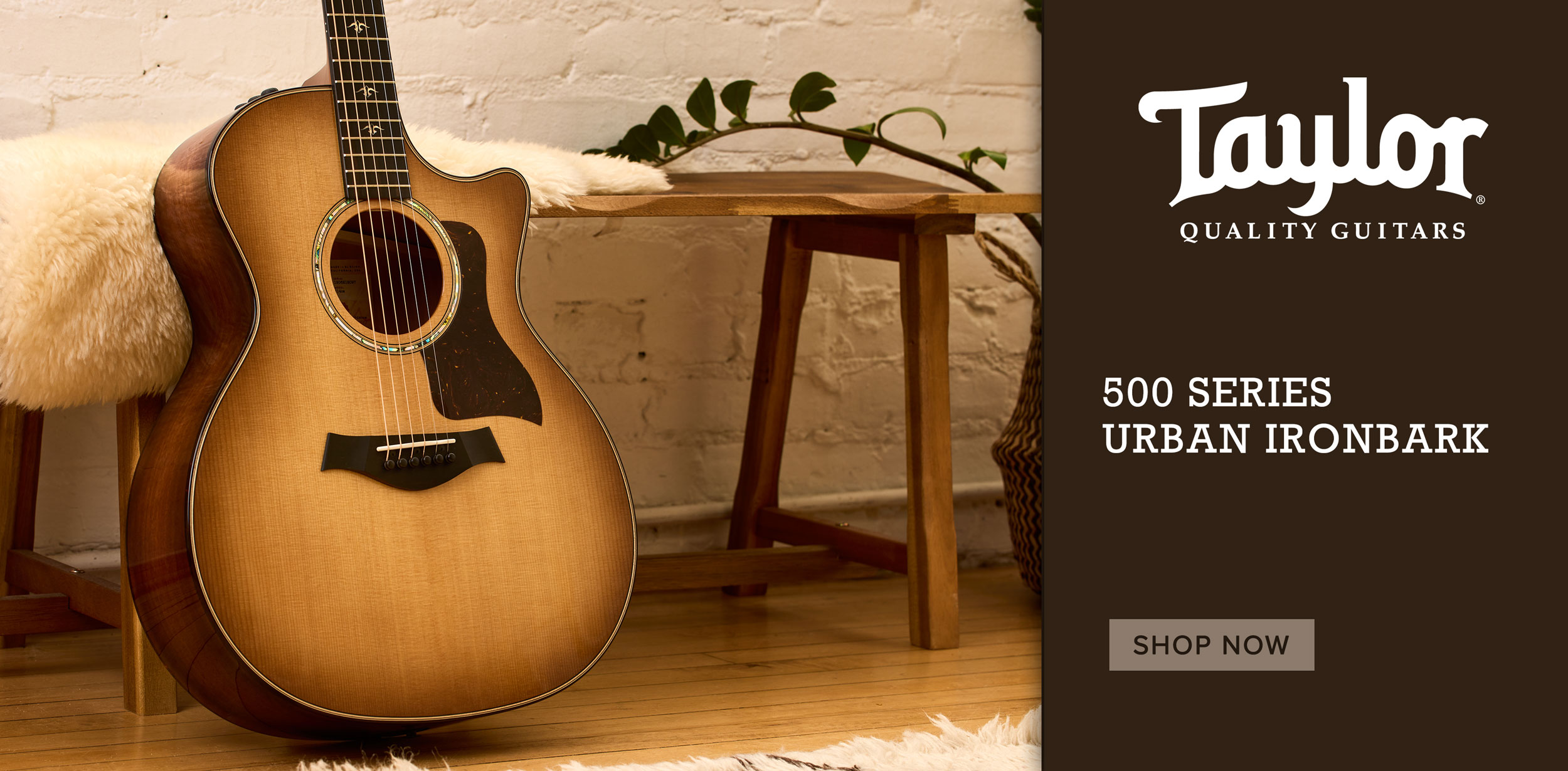 Taylor 514ce Urban Ironbark