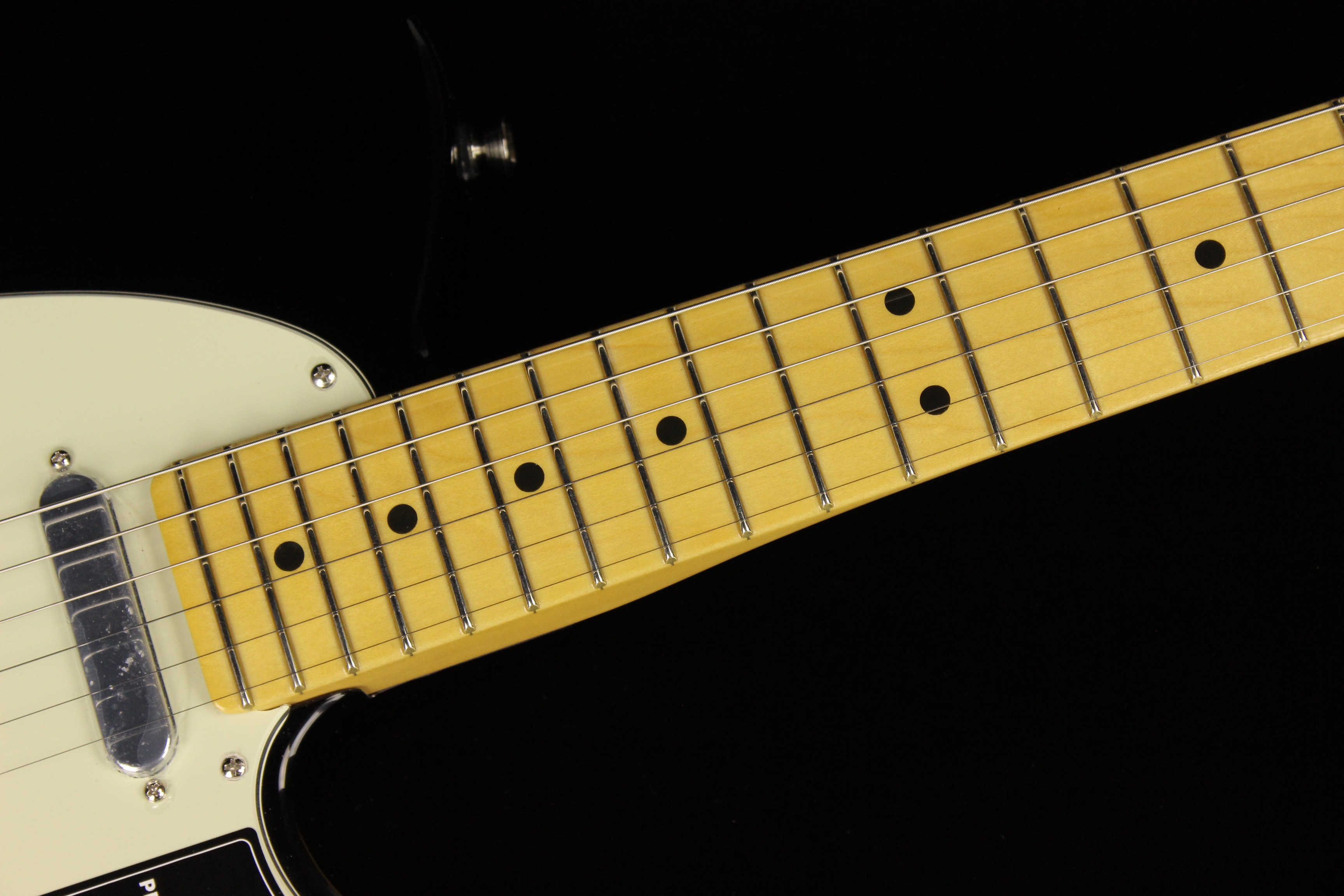 Fender American Professional II Stratocaster with Maple