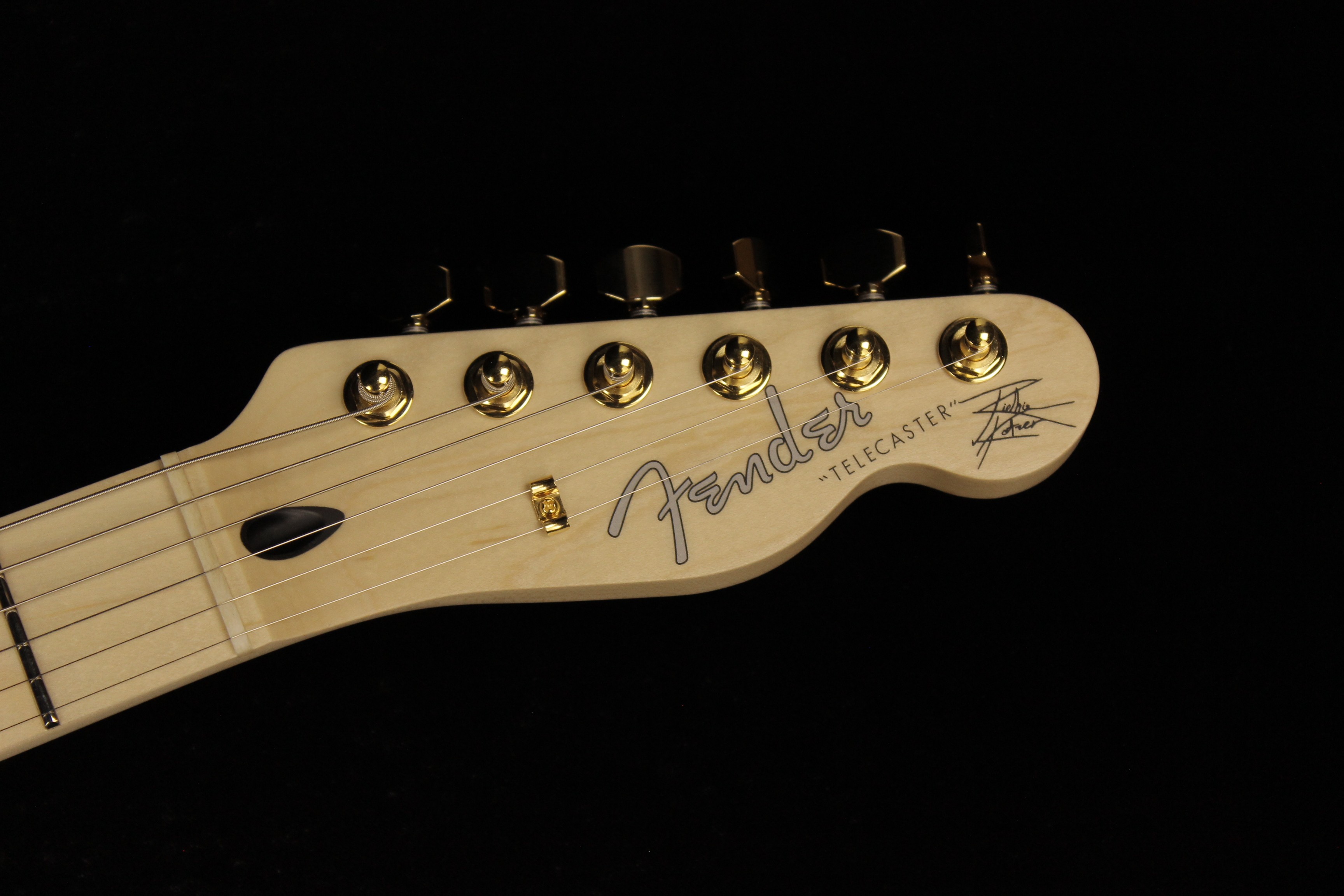 Fender-Richie-Kotzen-