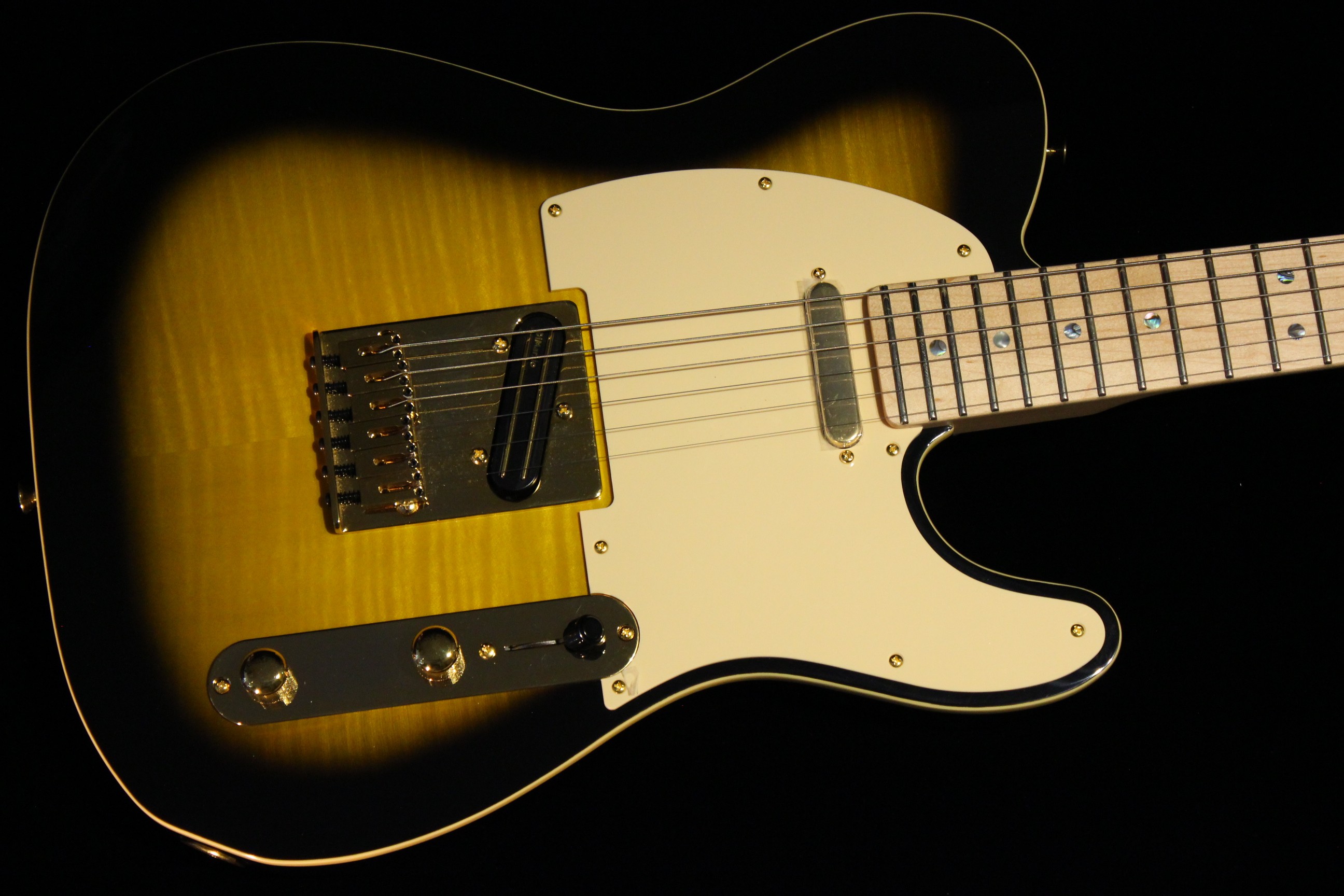 Richie kotzen tele hotsell