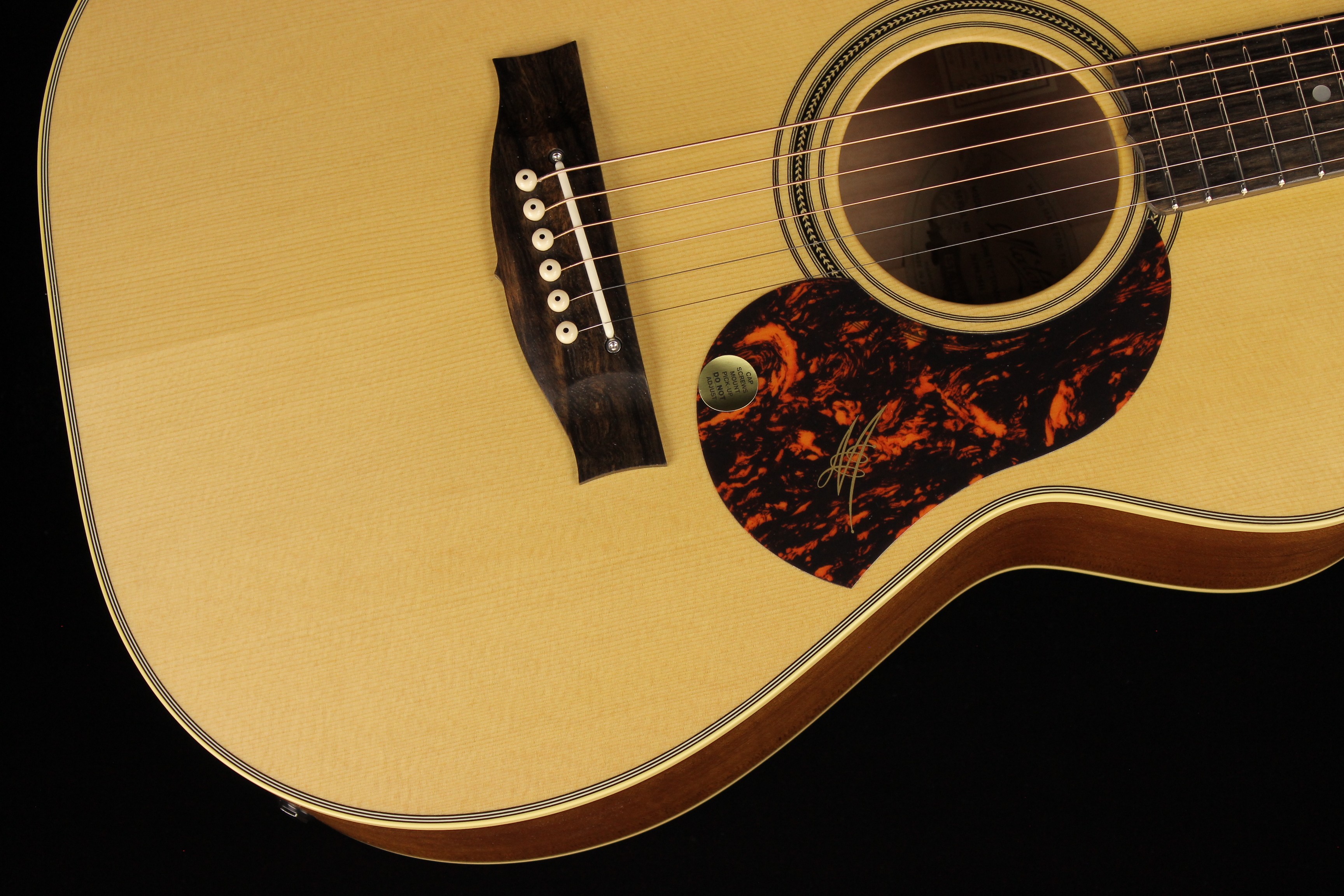 Maton ebg808te price hotsell