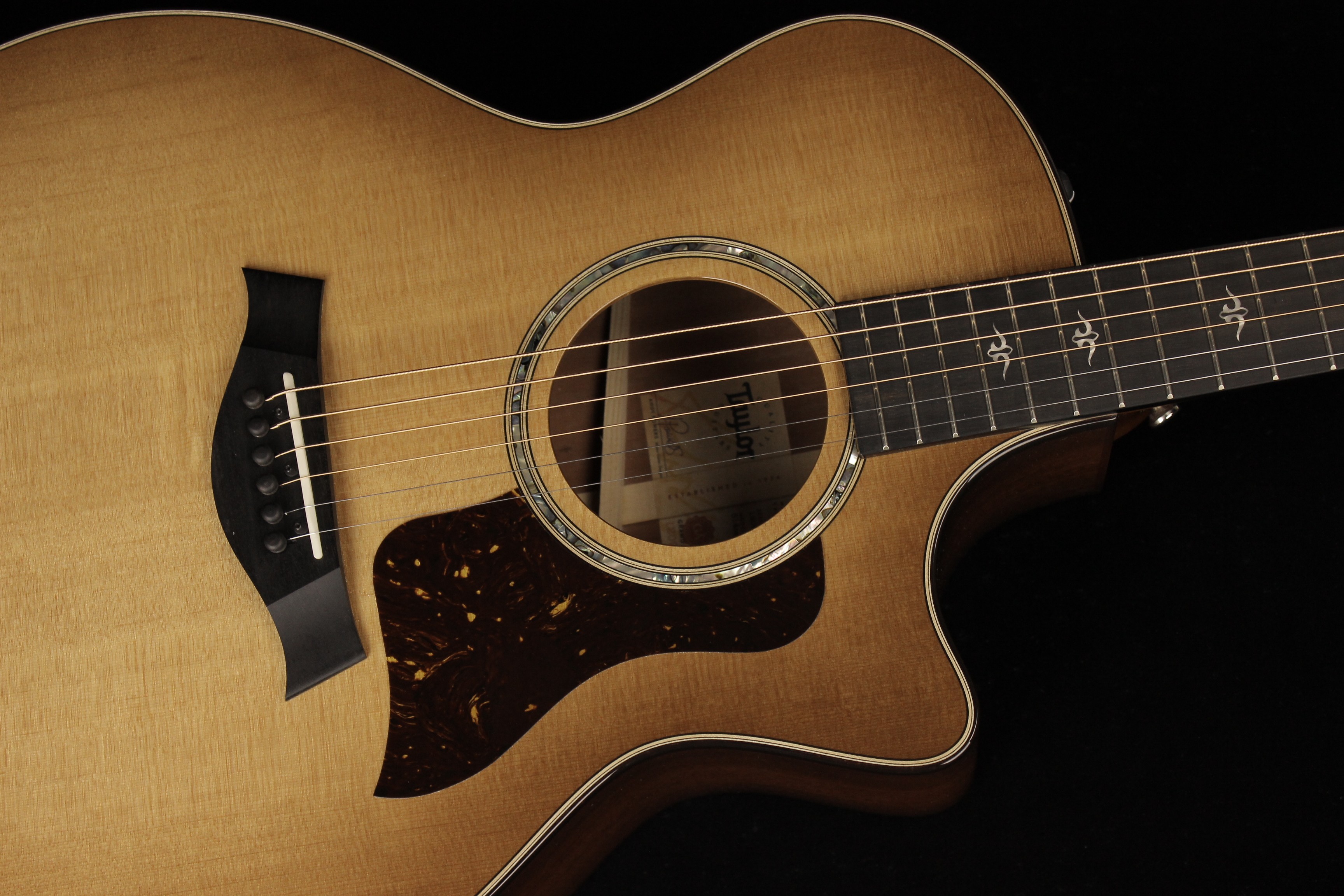 名作 Taylor-514ce-Urban-Ironbark- 靴