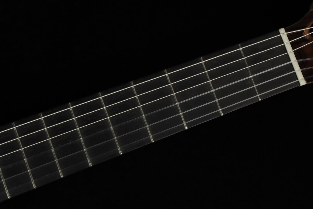 Alhambra Luthier Anniversario