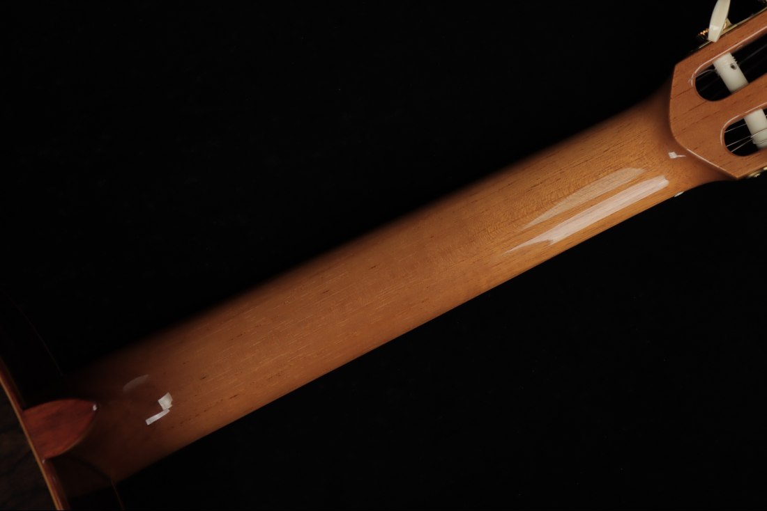Alhambra Luthier Anniversario