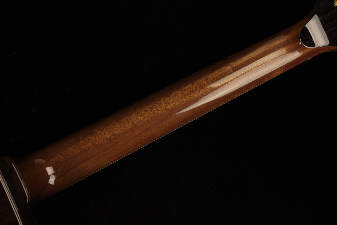 Beauregard Archtop 16