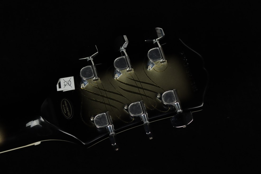 Epiphone Adam Jones Les Paul Custom Art Collection Ernst Fuchs 