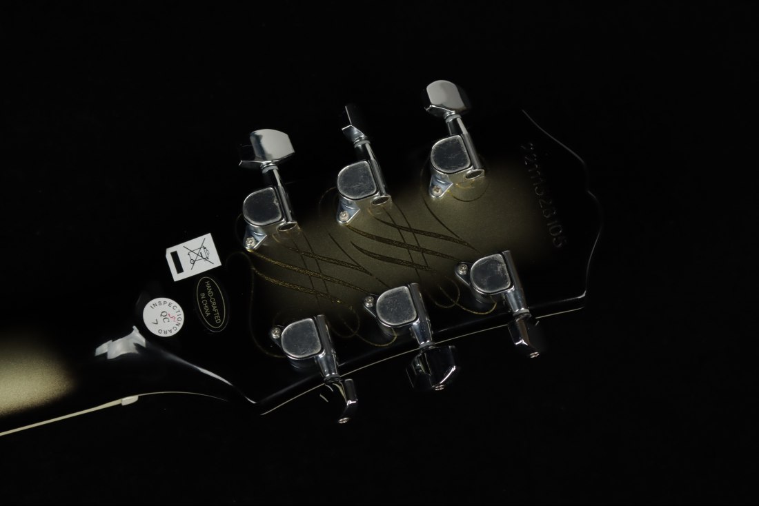 Epiphone Adam Jones Les Paul Custom Art Collection Julie Heffernan's 