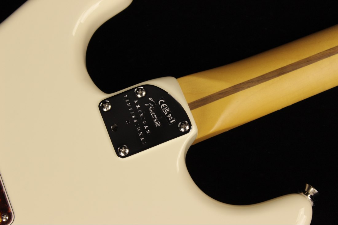 Fender American Professional II Stratocaster - RW OWT