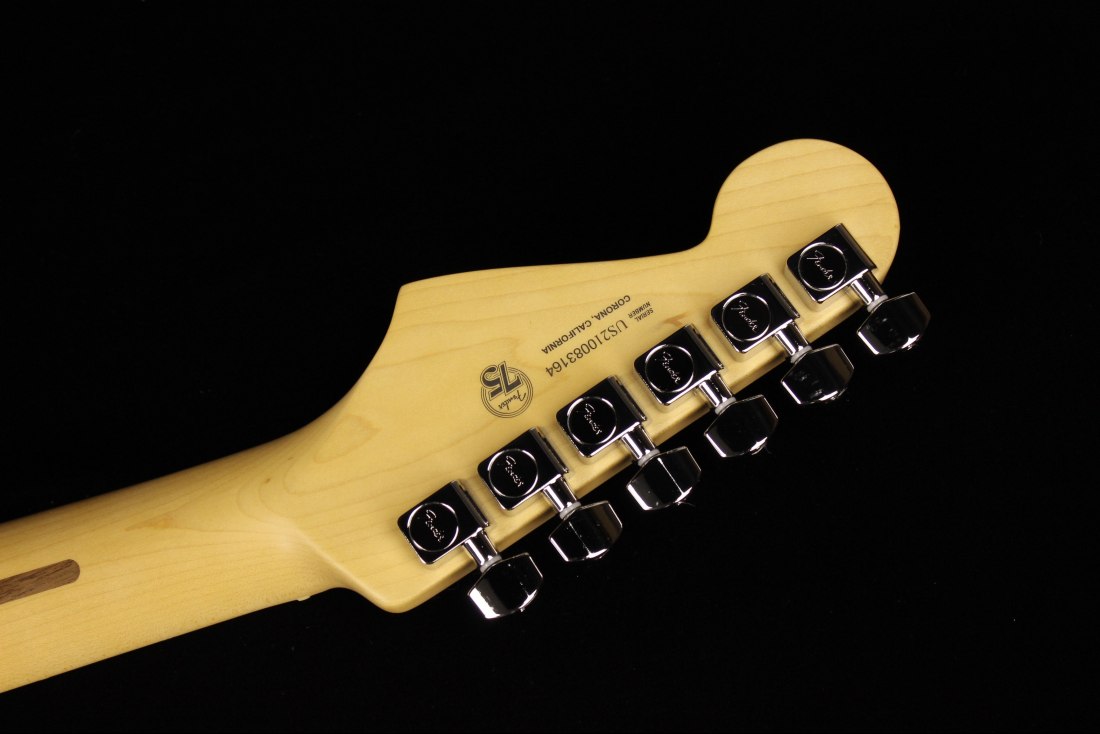 Fender American Professional II Stratocaster Dark Night (SN