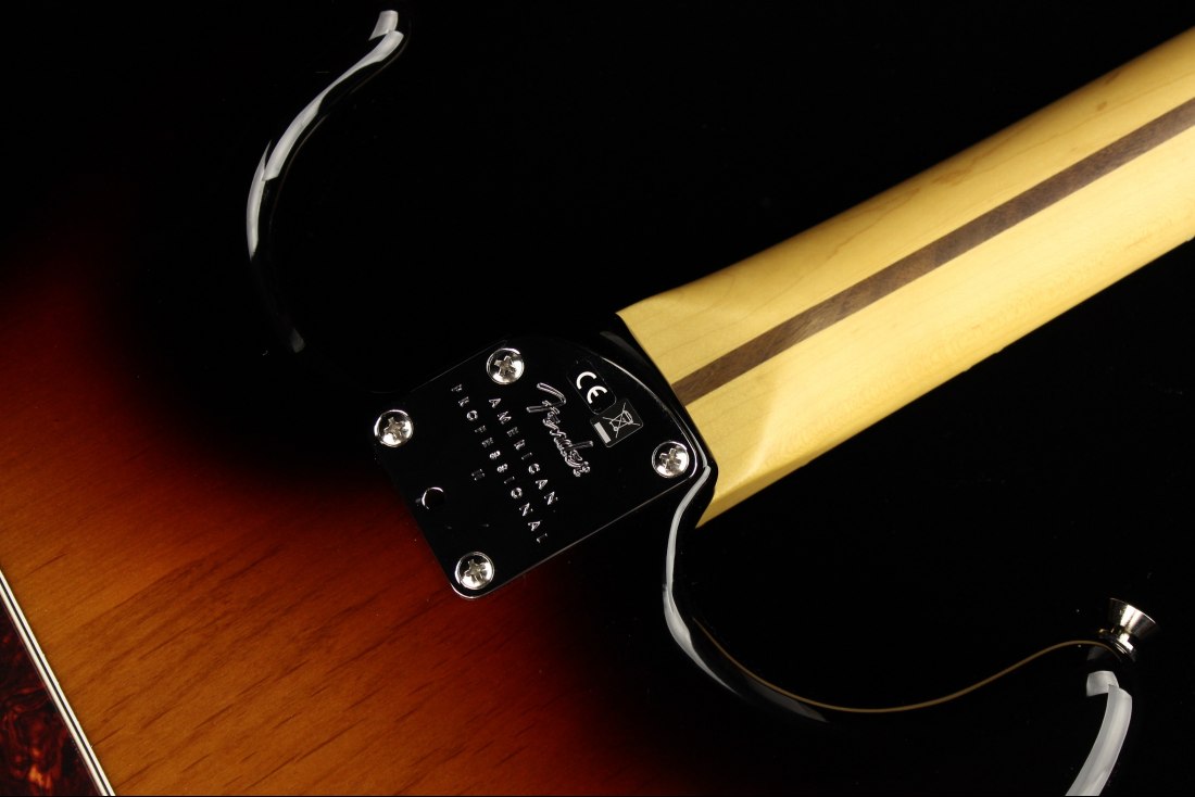 Fender American Professional II Stratocaster - RW 3CS