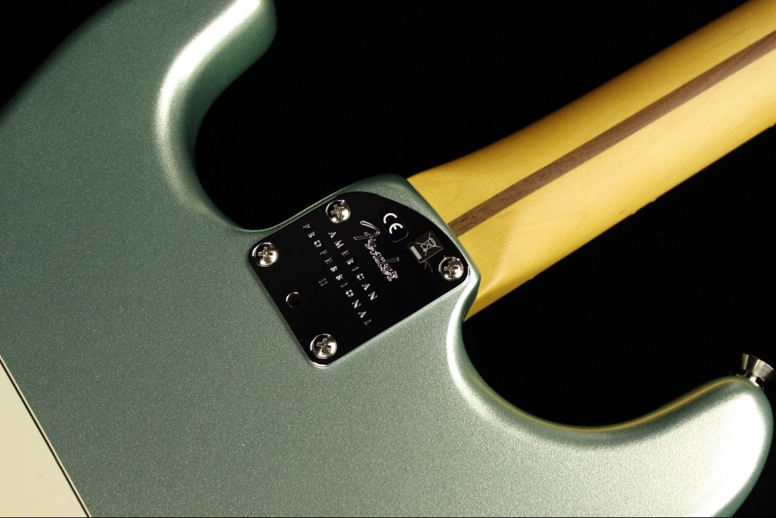 Fender American Professional II Stratocaster - RW MSG