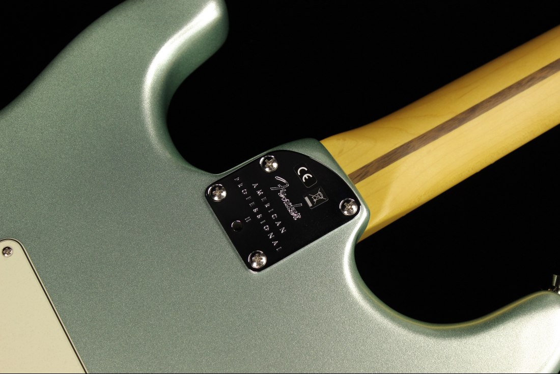 Fender American Professional II Stratocaster - RW MSG
