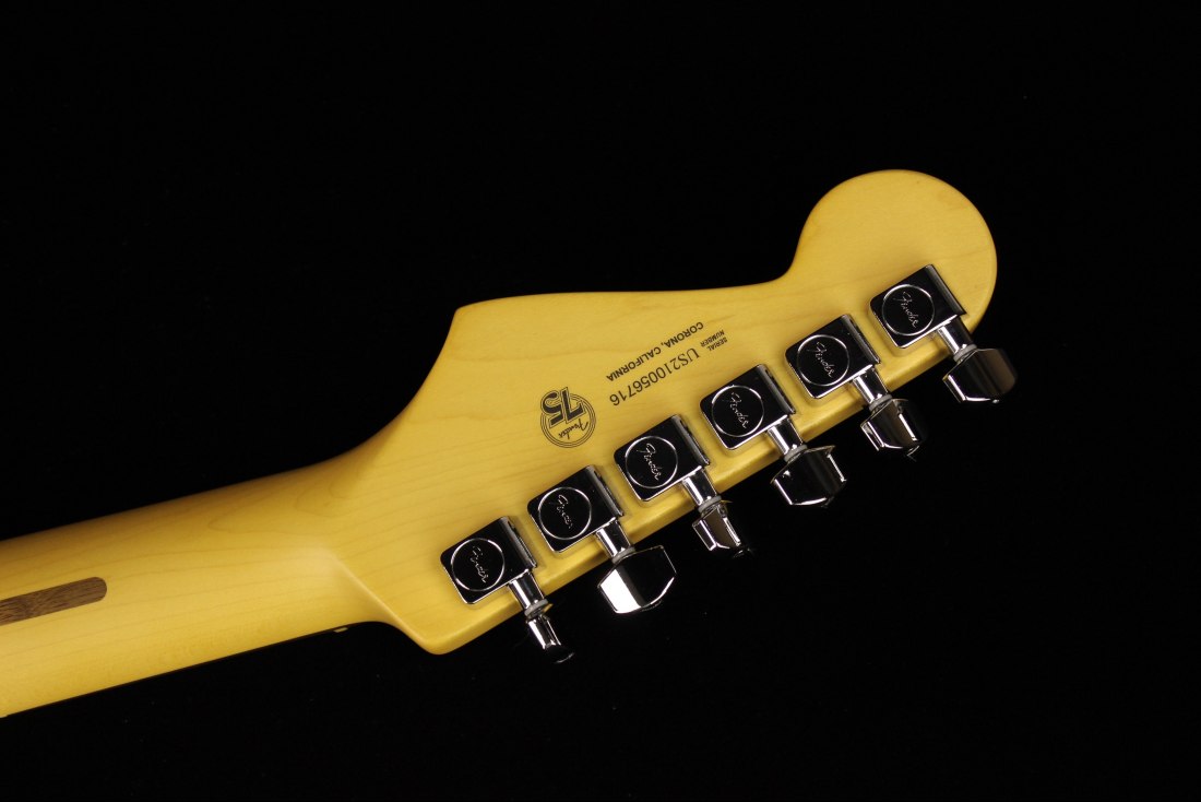 Fender American Professional II Stratocaster - RW MSG