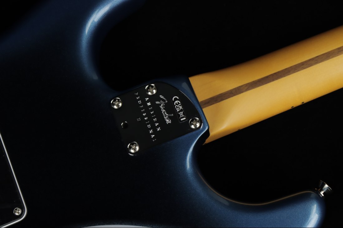 Fender American Professional II Stratocaster - MN DKN
