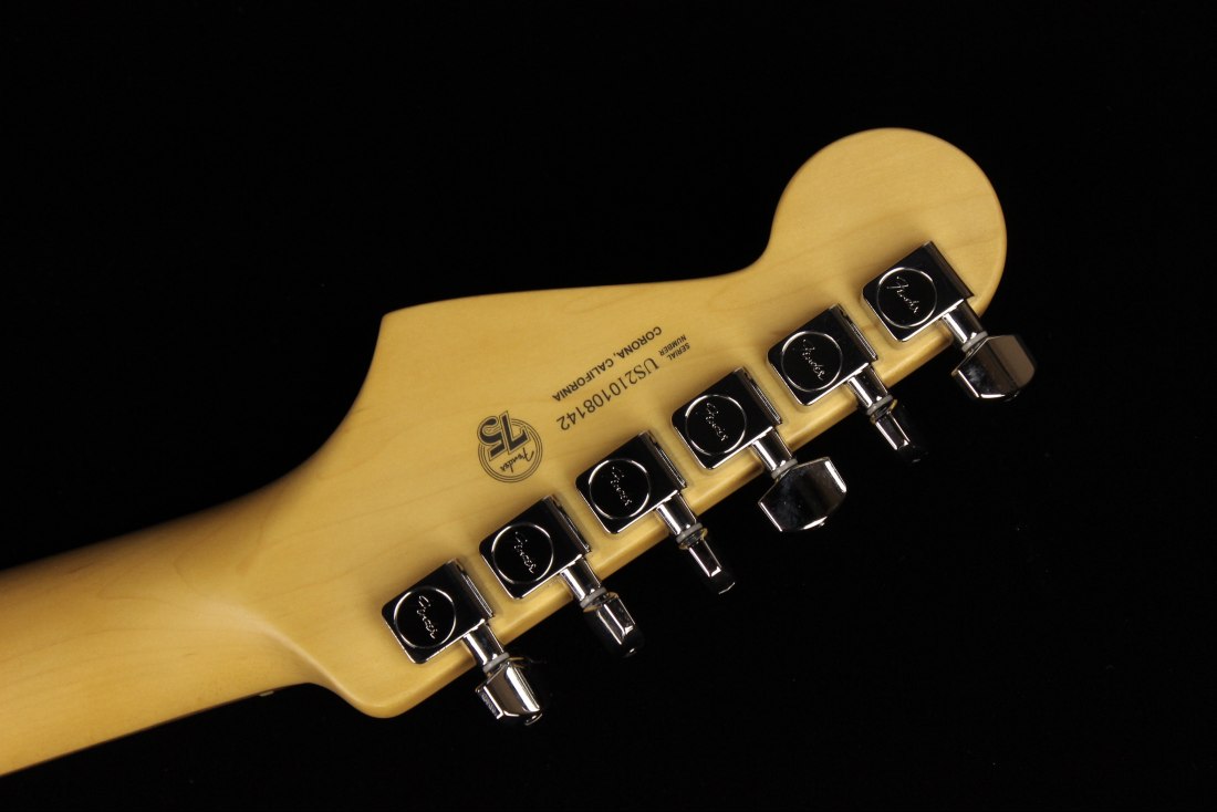 Fender American Professional II Stratocaster - RW DKN
