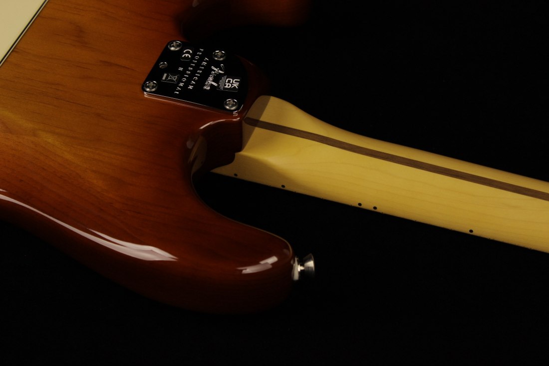 Fender American Professional II Stratocaster HSS - MN SSB