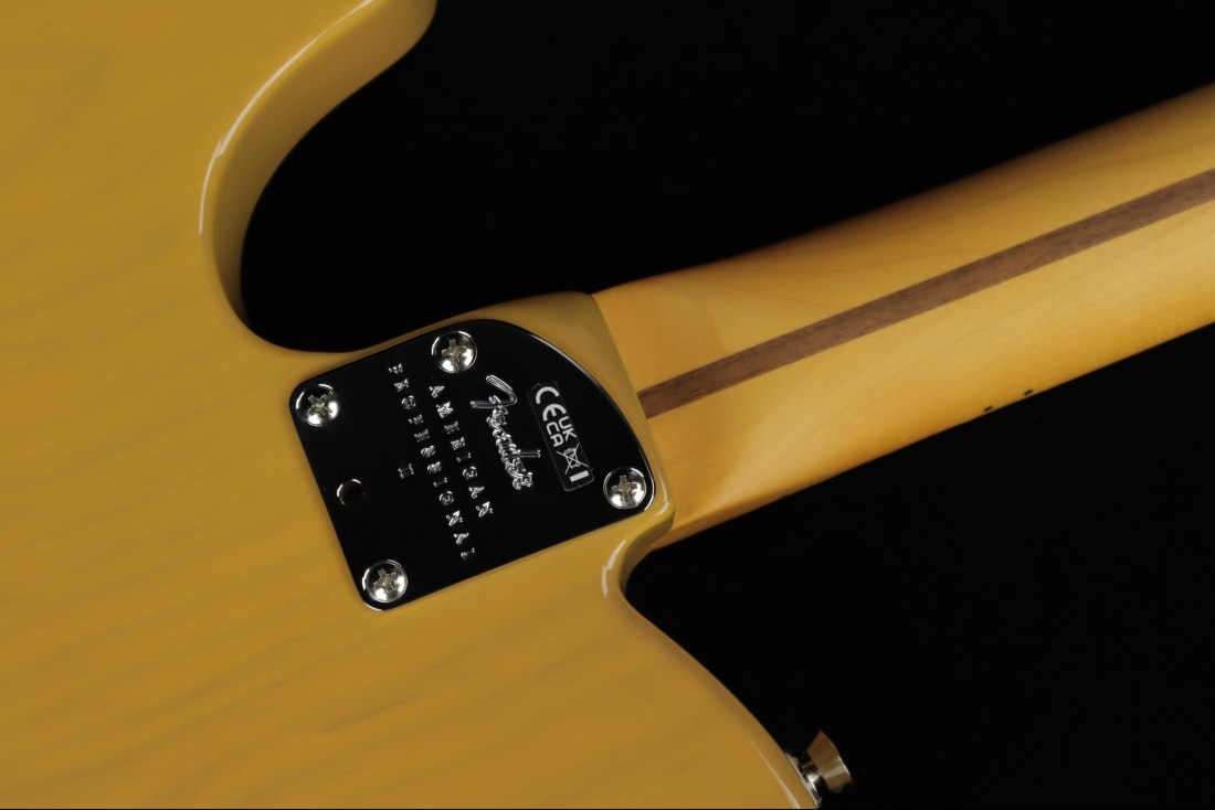 Fender American Professional II Telecaster - MN BTB