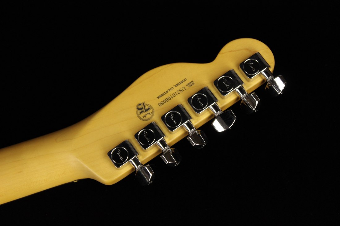 Fender American Professional II Telecaster - RW MSG