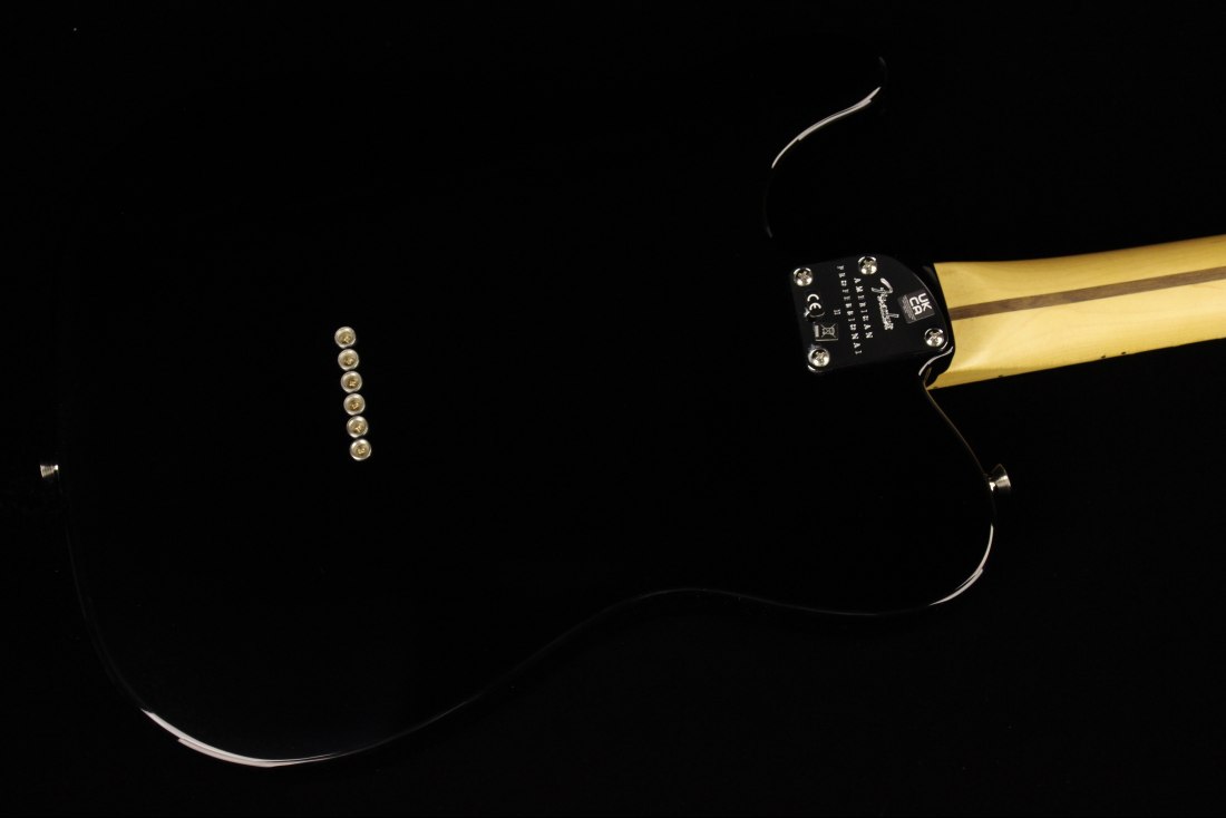 Fender American Professional II Telecaster - MN BK