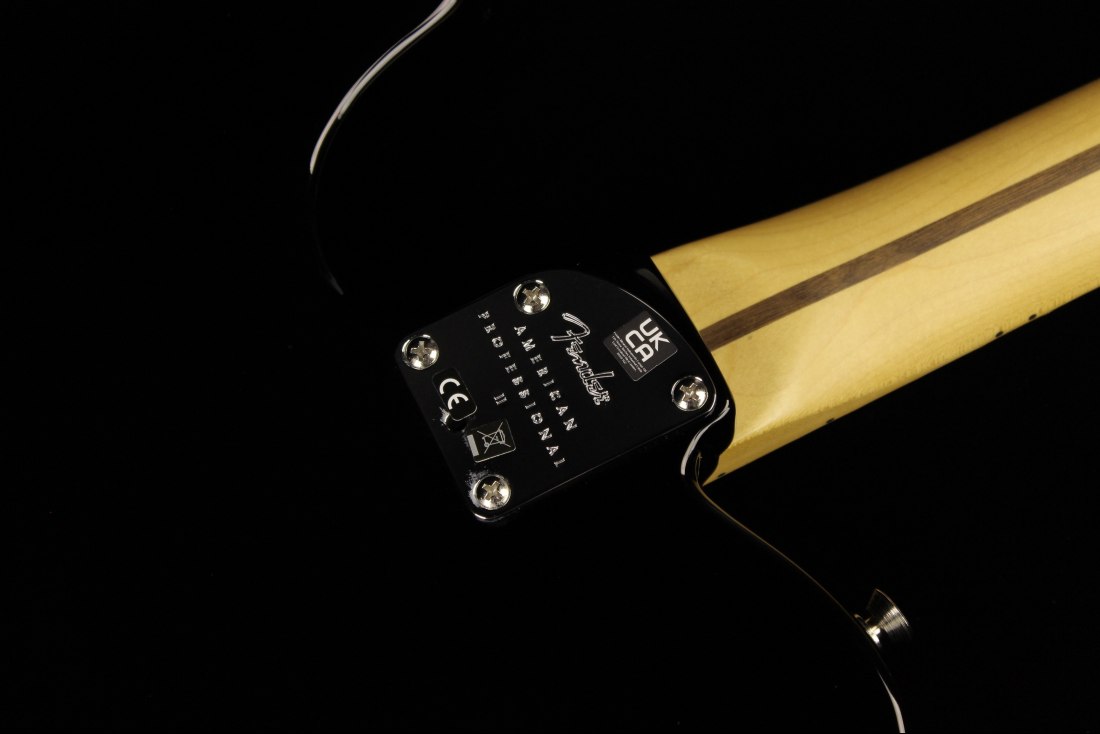 Fender American Professional II Telecaster - MN BK