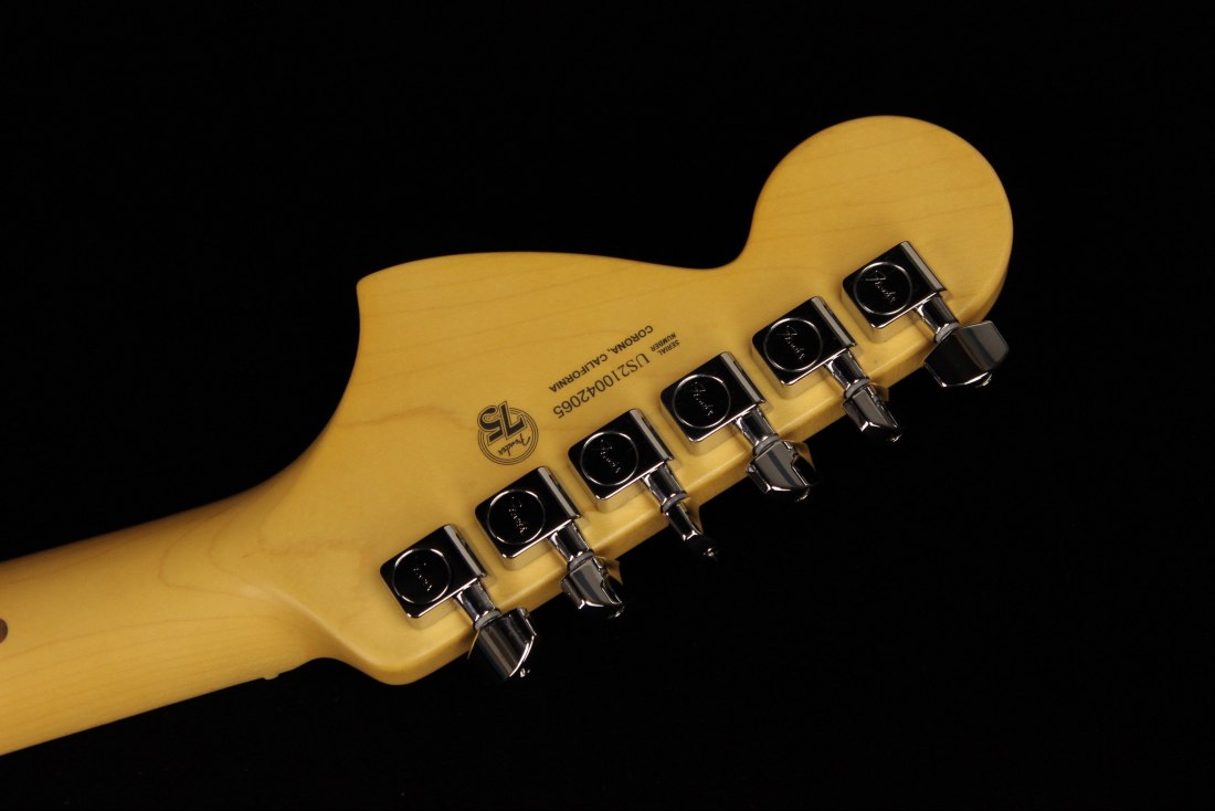 Fender American Professional II Telecaster Deluxe - MN MBL