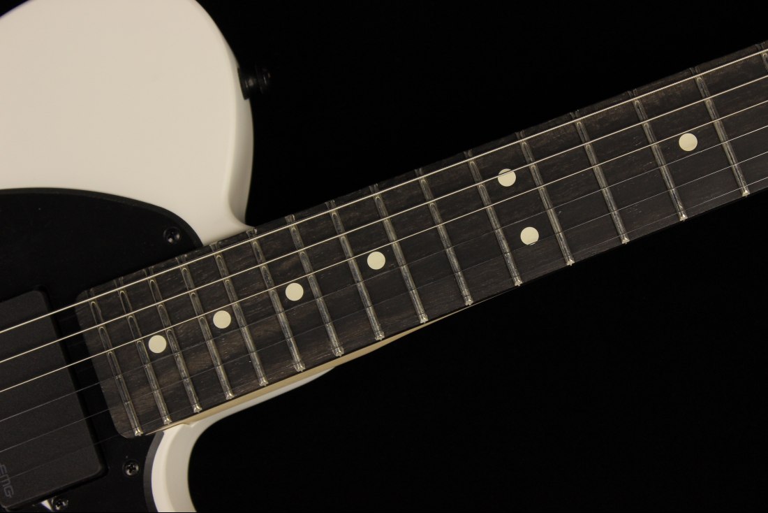 Fender Jim Root Telecaster