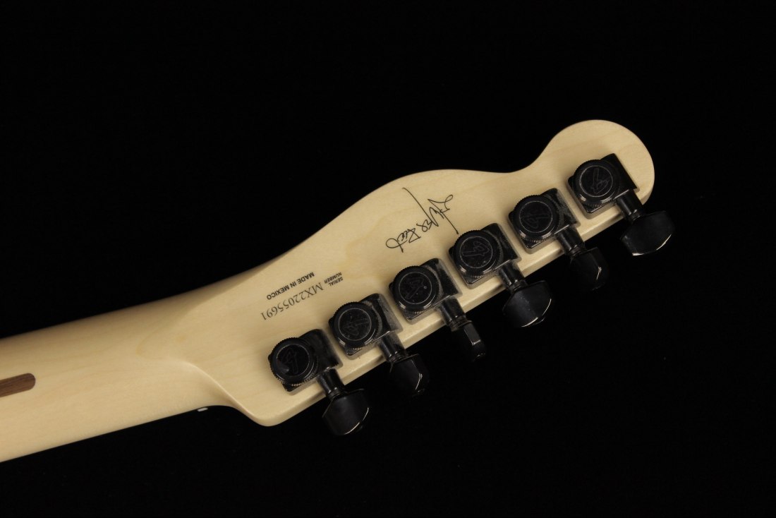 Fender Jim Root Telecaster