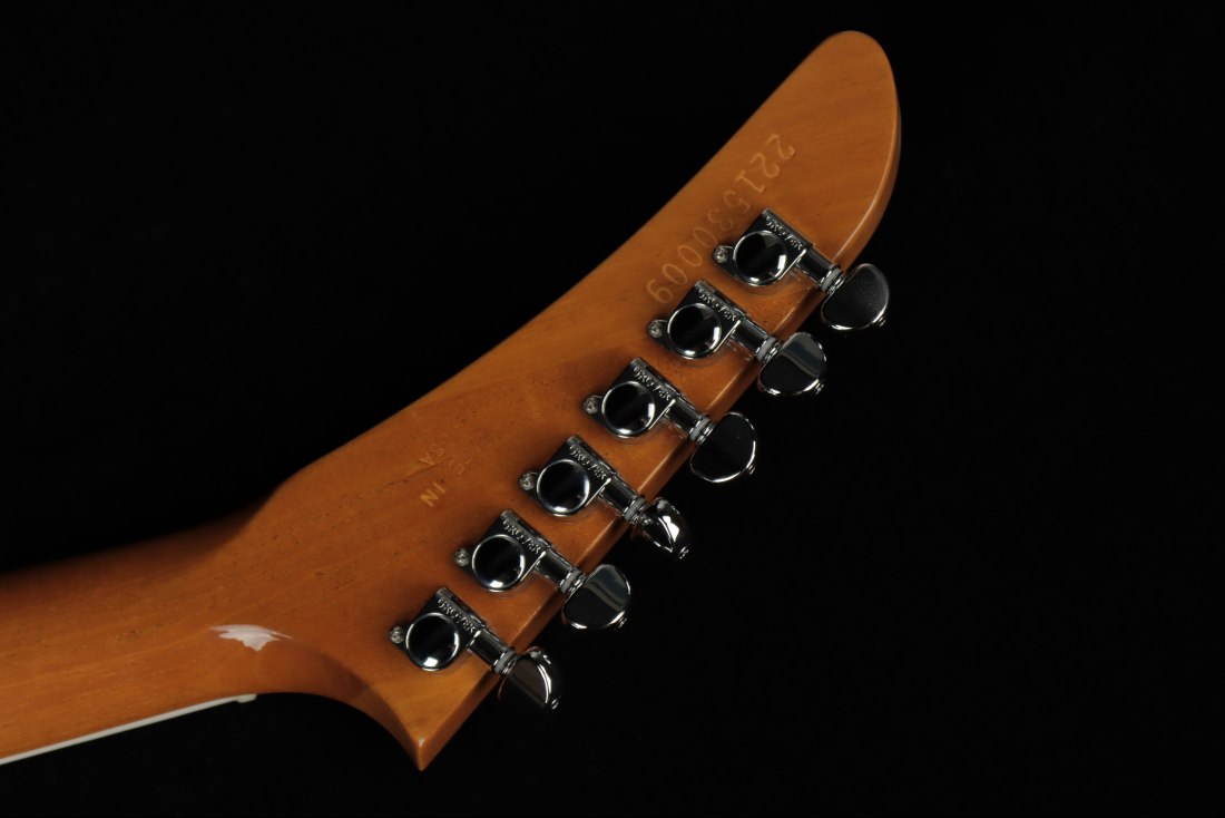 Gibson 70's Explorer - AN