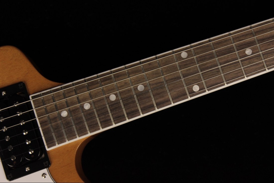 Gibson 70's Explorer - AN