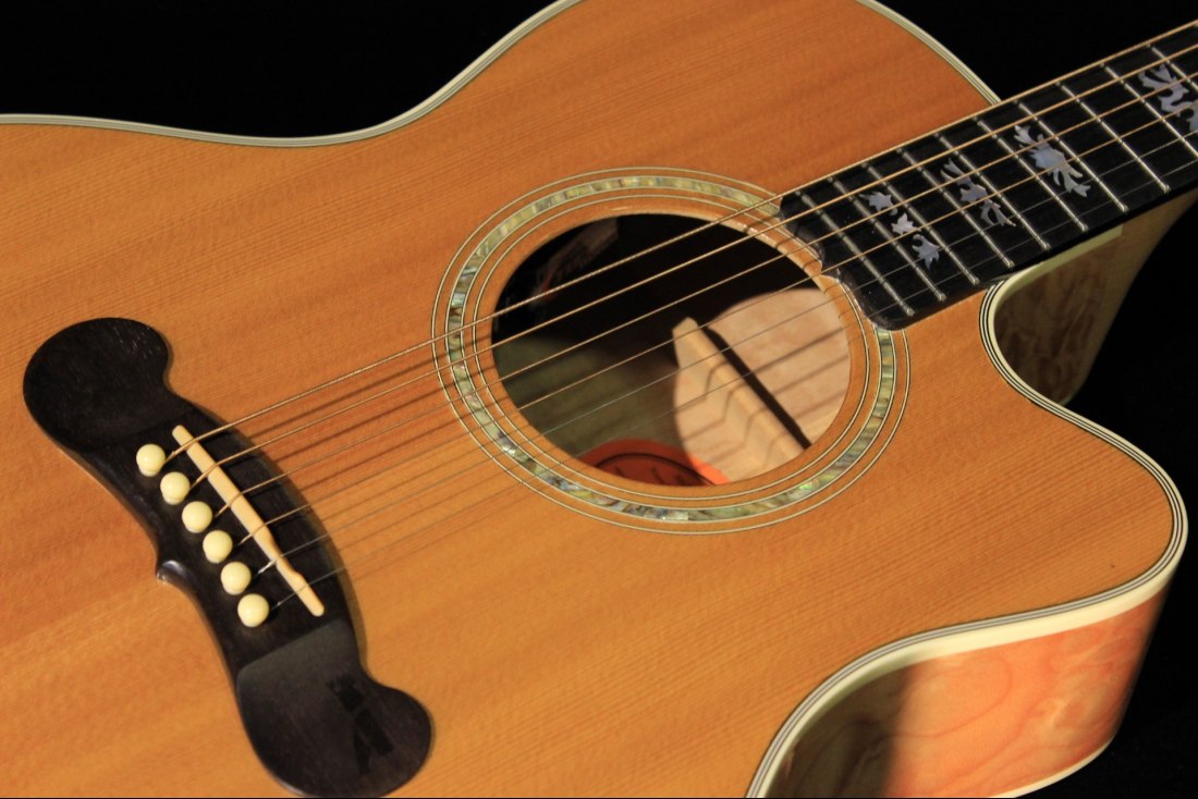 Gibson LC-2 Sonoma