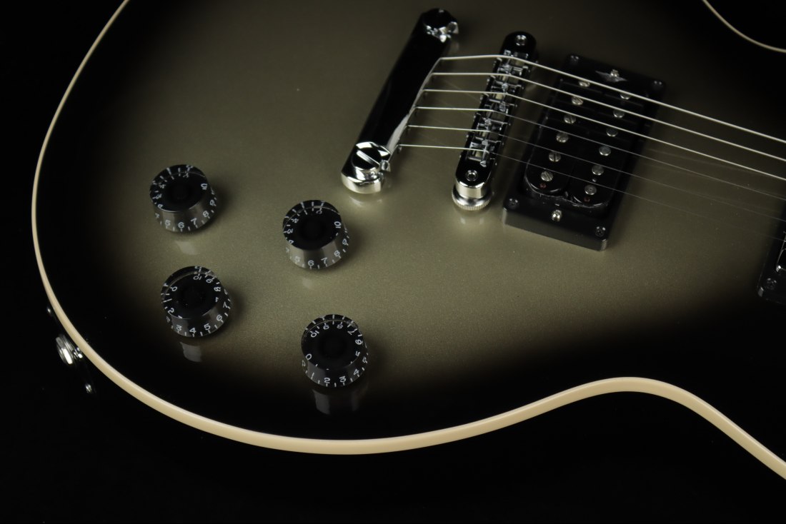Gibson Adam Jones Les Paul Standard