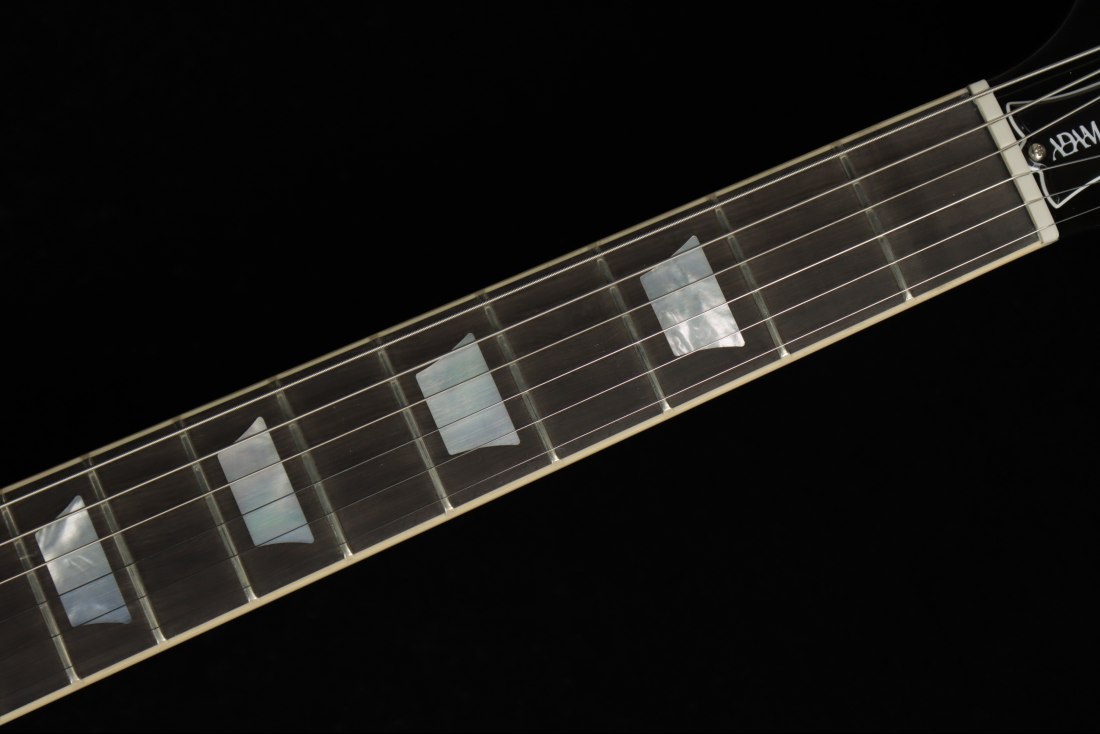 Gibson Adam Jones Les Paul Standard