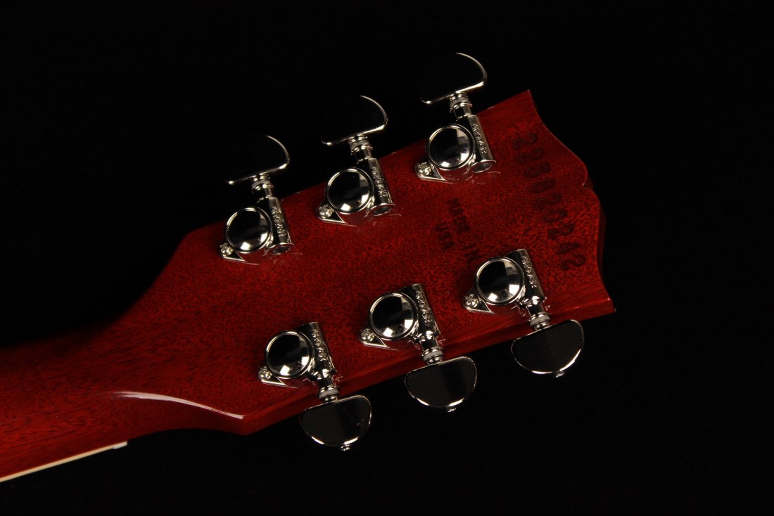 Gibson ES-339 - CH