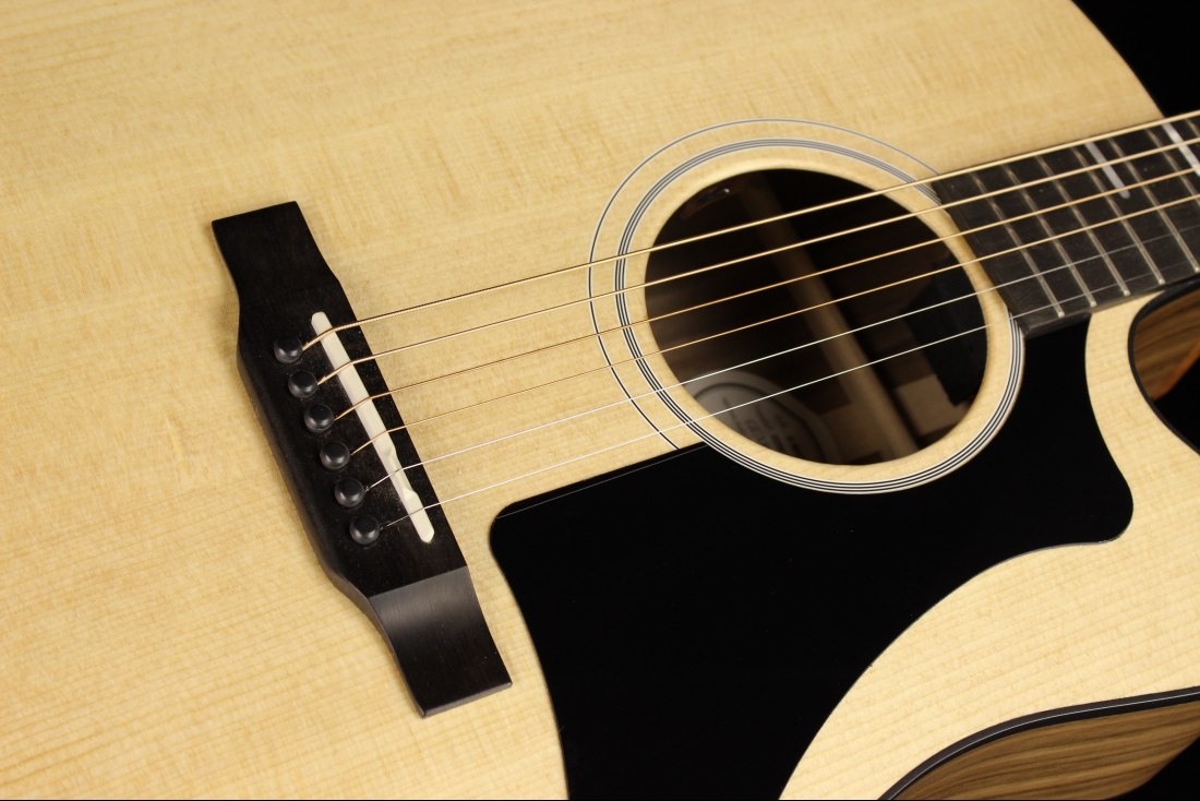 Gibson Generation Collection G-Writer EC