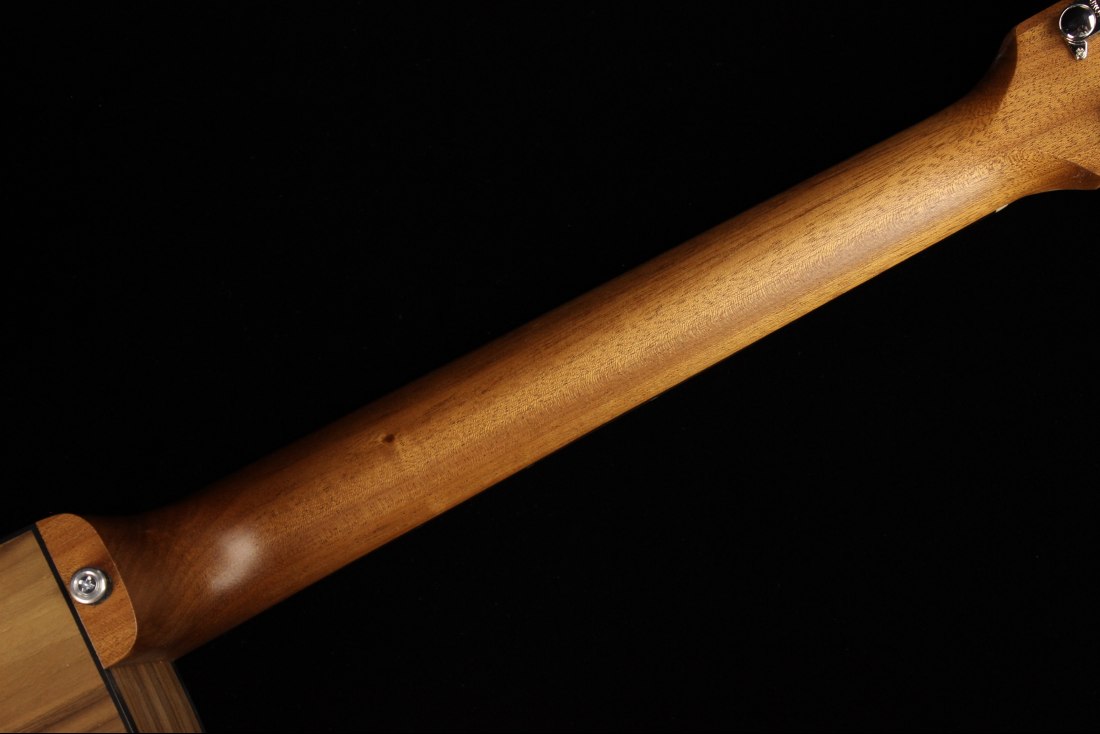 Gibson Generation Collection G-Writer EC