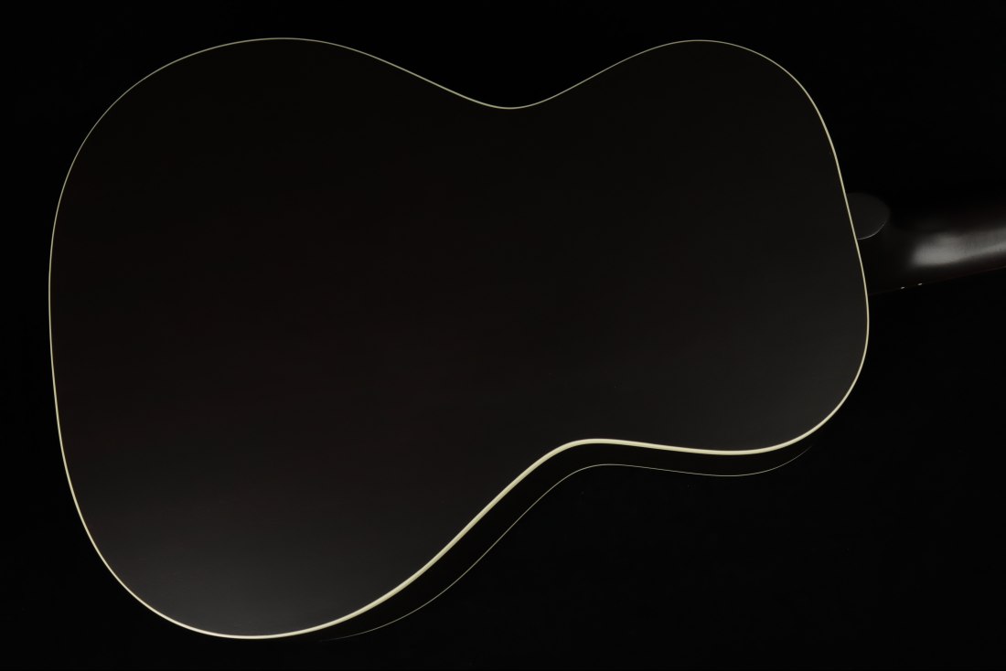 Gibson L-00 Special - VS