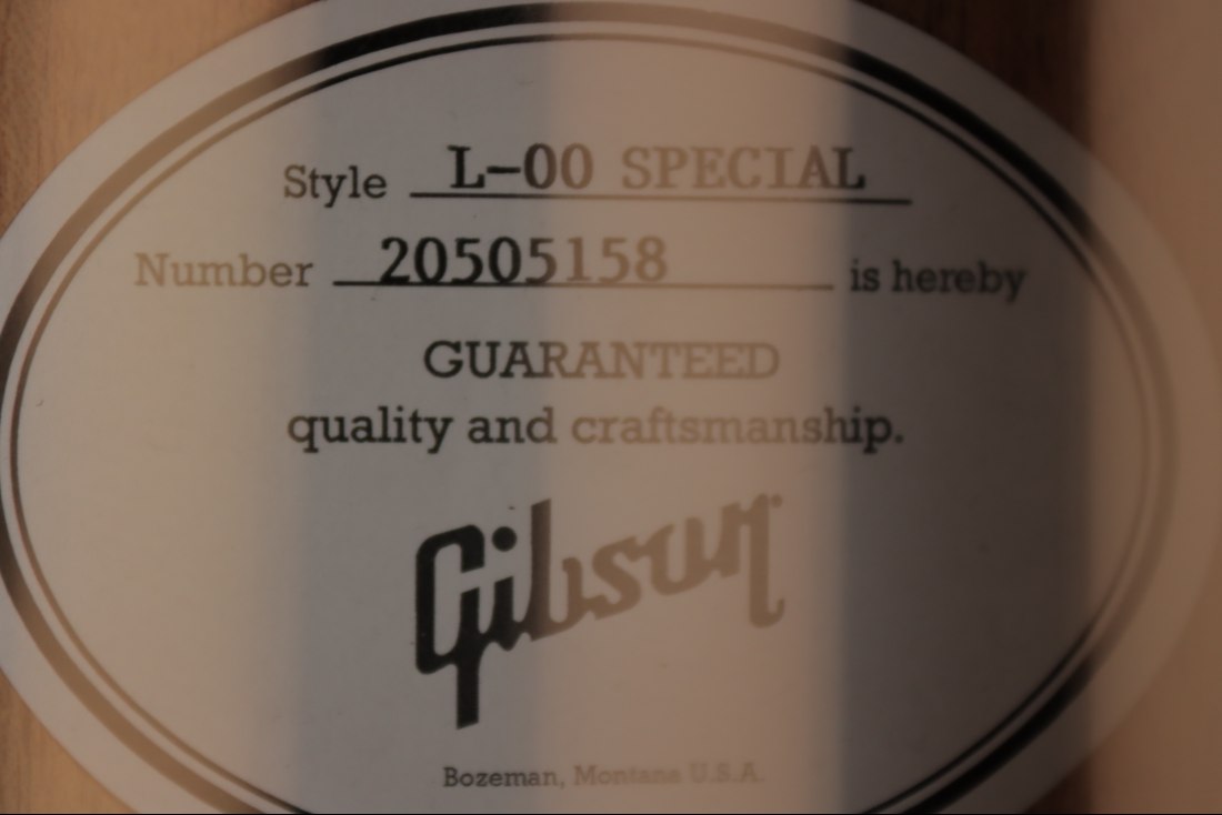 Gibson L-00 Special - VS
