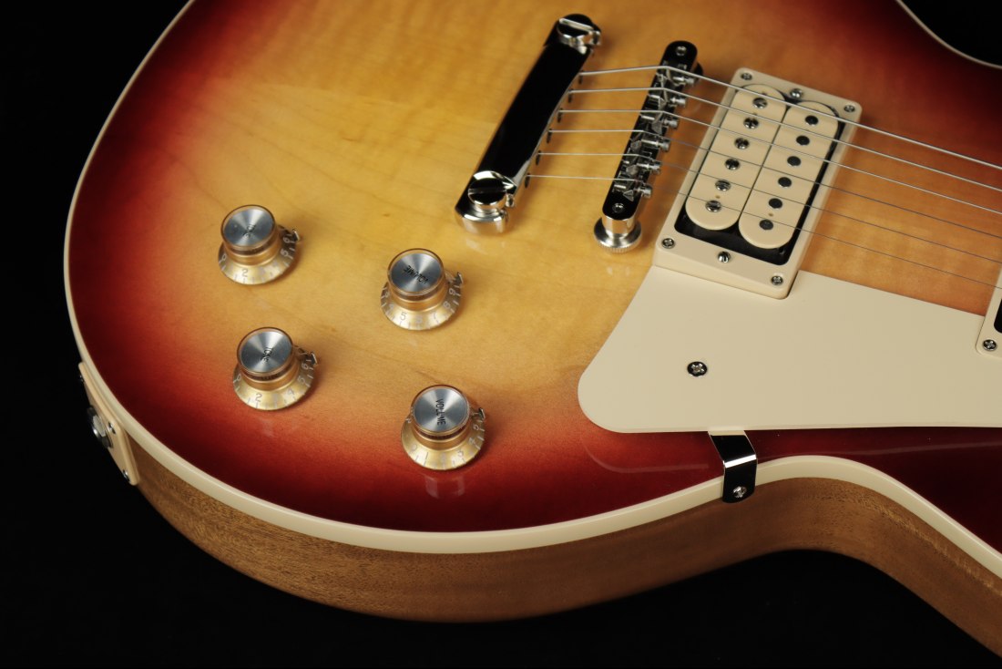 Gibson Les Paul Standard '60s Double Trouble - VU
