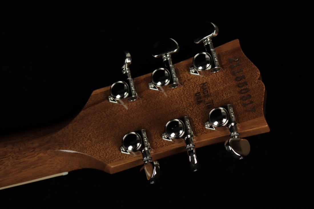 Gibson Les Paul Standard '60s Double Trouble - VU