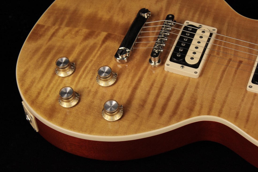 Gibson Slash Les Paul Standard - AA