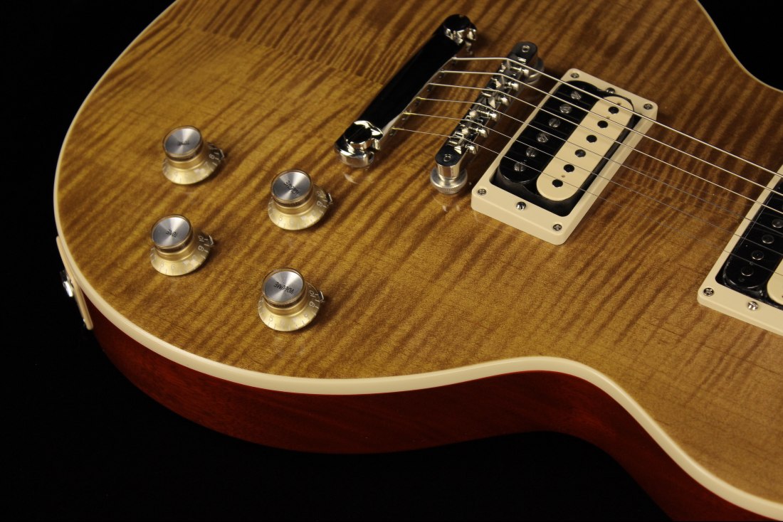 Gibson Slash Les Paul Standard - AA