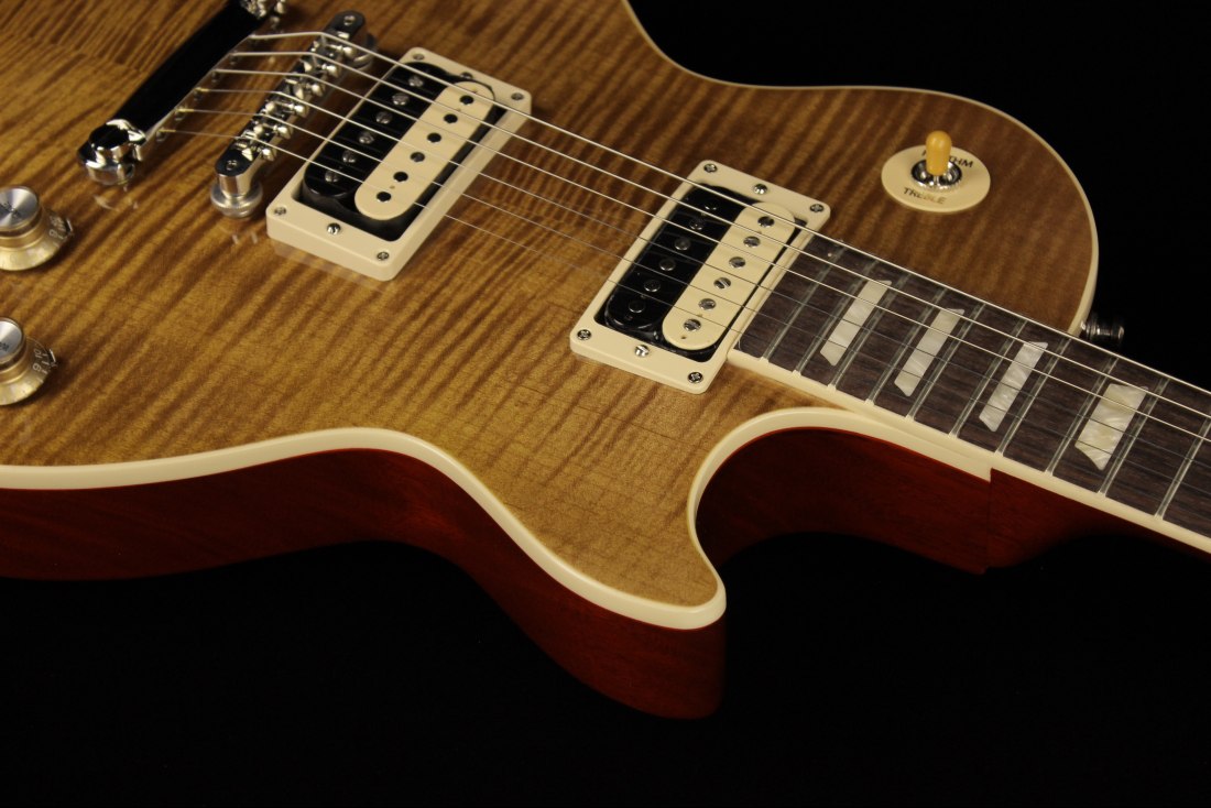 Gibson Slash Les Paul Standard - AA