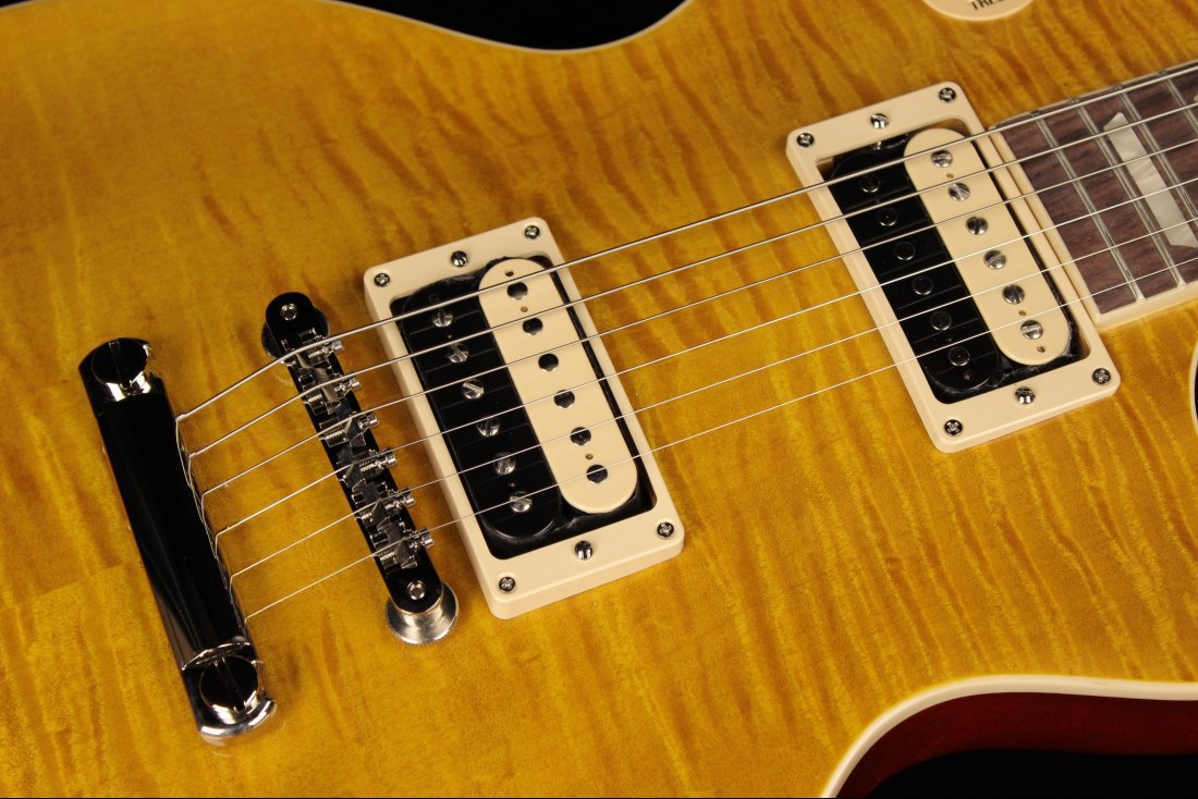 Gibson Slash Les Paul Standard - AA