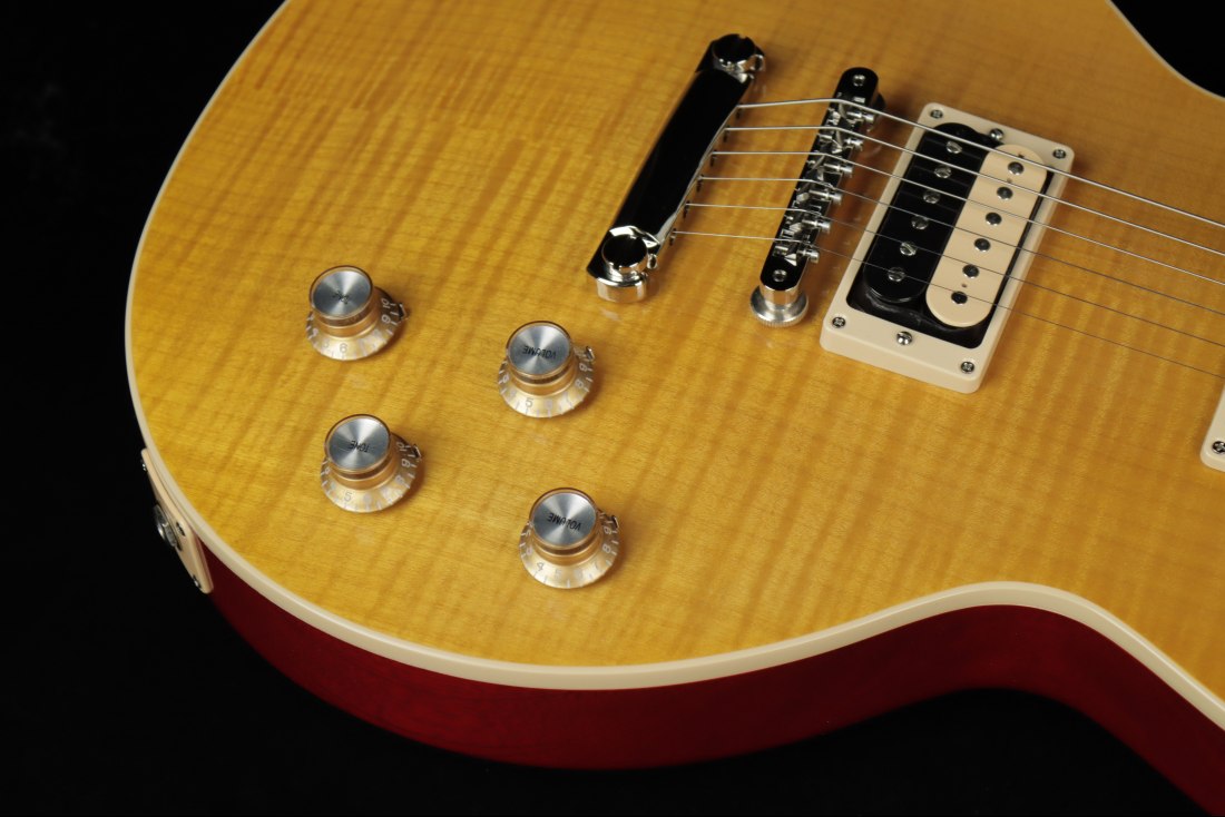 Gibson Slash Les Paul Standard - AP